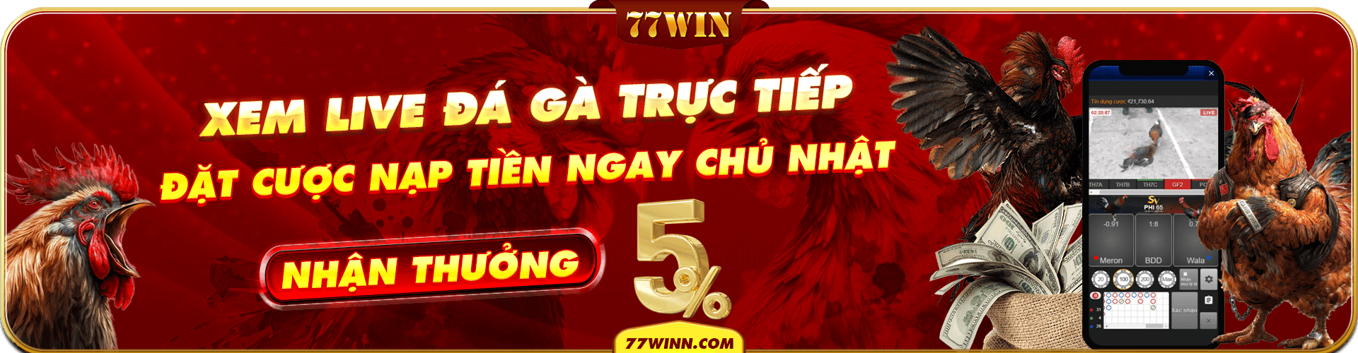 Trực tiếp đá gà cực HOT tại 77win